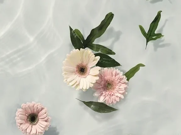 uploads/images/41zero42/kleur/paper_lux/41zero42_paper-lux_louis.webp