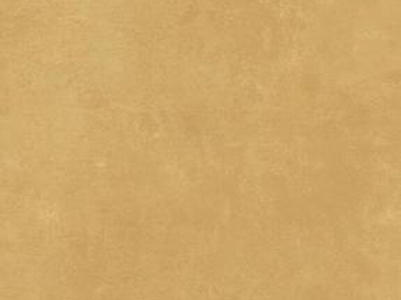 uploads/images/atlas-concorde/kleuren/pro/atlasconcorde_boost-pro_mustard.jpg