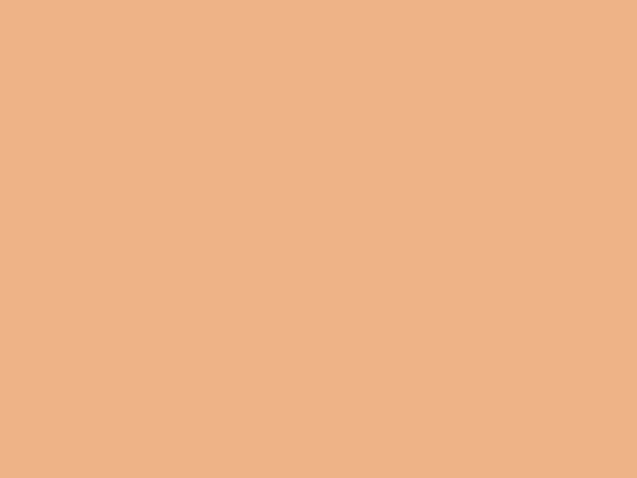 uploads/images/mosa/colors/mosa_colors_apricot-tan_18940.jpg