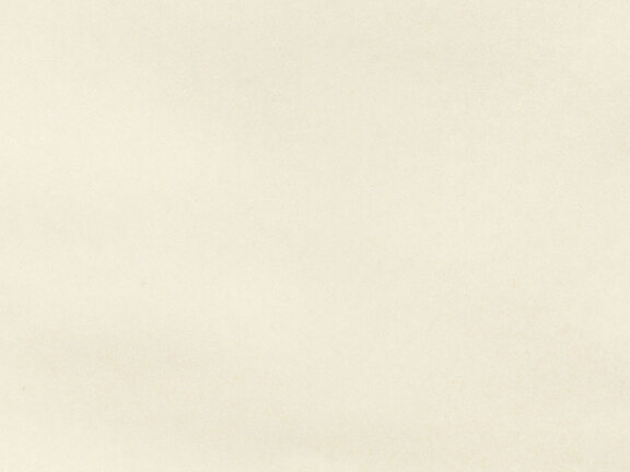 uploads/images/tonalite/kleur/dart/tonalite_dart_almond.jpg