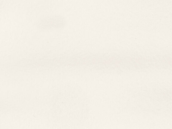 uploads/images/tonalite/kleur/dart/tonalite_dart_snow.jpg