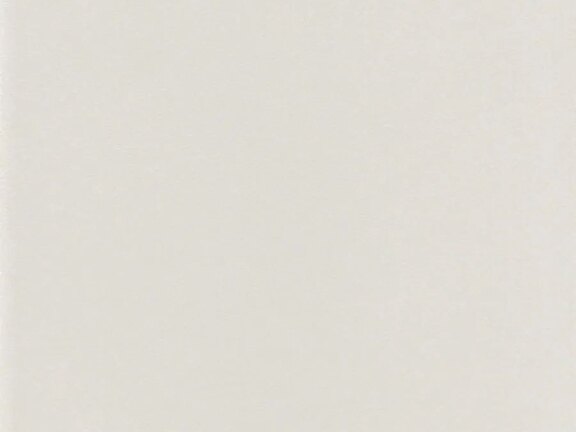 uploads/images/tonalite/kleur/elevenuance/tonalite_elevenuance_latte.jpg