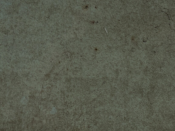 uploads/images/tonalite/kleur/foliage/tonalite_foliage_verdenew.jpg