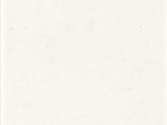 uploads/images/tonalite/kleur/lingotti/lingotti-bianco_col.jpg