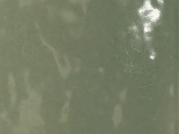 uploads/images/tonalite/kleur/summery/summery-verde_col.webp